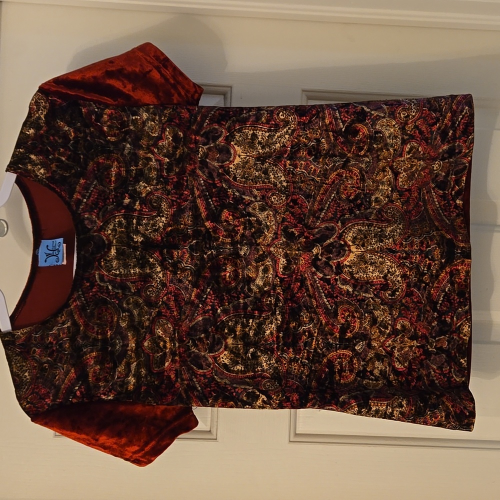 Vintage Beautiful Velvety Red and Gold Dress Top with Paisley Design